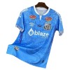 Original Fußballtrikot Santos FC Dragon 2025-26 Blaue Für Herren