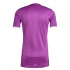 Original Fußballtrikot Aston Villa Purple Version Torwart 2025-26 Für Herren