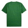 Original Fußballtrikot Manchester City Pre-Match 2025-26 Grüne Für Herren
