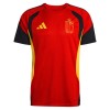 Belgien Trainingsshirts WM 2026 Rote Für Herren Belgien Trainingsshirts WM 2026 Rote Für Herren