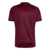 Original Fußballtrikot Venezuela Heimtrikot WM 2026 Für Herren
