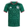 Original Fußballtrikot Mexiko Heimtrikot WM 2026 Für Herren