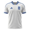 Original Fußballtrikot Griechenland Heimtrikot WM 2026 Für Herren