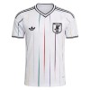 Original Fußballtrikot Japan Auswärtstrikot WM 2026 Für Herren
