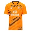 Original Fußballtrikot Cardiff City Ausweichtrikot 2025-26 Für Herren