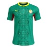 Original Fußballtrikot Senegal Auswärtstrikot WM 2026 Für Herren Original Fußballtrikot Senegal Auswärtstrikot WM 2026 Für Herren