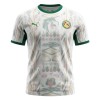 Original Fußballtrikot Senegal Heimtrikot WM 2026 Für Herren