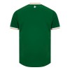 Original Fußballtrikot Irland Heimtrikot 2026-27 Für Herren