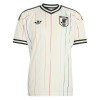 Original Fußballtrikot Japan Auswärtstrikot WM 2026 Für Herren
