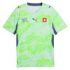 Original Fußballtrikot Schweiz Auswärtstrikot WM 2026 Für Herren