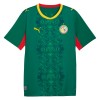 Original Fußballtrikot Senegal Auswärtstrikot WM 2026 Für Herren Original Fußballtrikot Senegal Auswärtstrikot WM 2026 Für Herren