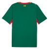 Original Fußballtrikot Senegal Auswärtstrikot WM 2026 Für Herren