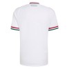 Original Fußballtrikot Ungarn Auswärtstrikot WM 2026 Für Herren
