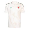Original Fußballtrikot Wales Auswärtstrikot WM 2026 Für Herren Original Fußballtrikot Wales Auswärtstrikot WM 2026 Für Herren