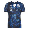 Original Fußballtrikot Argentinien Romero 13 Auswärtstrikot WM 2026 Für Herren