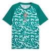 Original Fußballtrikot Portugal Pre-Match WM 2026 Grüne Für Herren