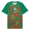 Original Fußballtrikot Elfenbeinküste Pre-Match WM 2026 Für Herren