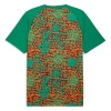 Original Fußballtrikot Elfenbeinküste Pre-Match WM 2026 Für Herren
