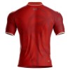 Original Fußballtrikot Haiti Ausweichtrikot WM 2026 Für Herren