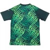 Original Fußballtrikot Mexiko Pre-Match WM 2026 Für Herren
