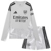Original Trikotsatz Arsenal Torwart Heimtrikot 2026-27 Langarm Für Kinder Original Trikotsatz Arsenal Torwart Heimtrikot 2026-27 Langarm Für Kinder