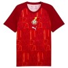 Original Fußballtrikot Ghana Pre-Match WM 2026 Für Herren Original Fußballtrikot Ghana Pre-Match WM 2026 Für Herren