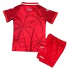 Original Trikotsatz Haiti Ausweichtrikot WM 2026 Für Kinder