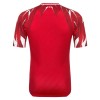 Original Fußballtrikot Tunesien Auswärtstrikot WM 2026 Für Herren