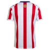 Original Fußballtrikot Chivas de CD Guadalajara 120th Jubiläum 2025-26 Für Herren