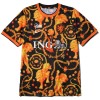Original Fußballtrikot Niederlande Pre-Match Special Edition WM 2026 Für Herren