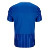 Original Fußballtrikot Brighton Hove Albion Heimtrikot 2026-27 Für Herren