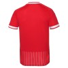Original Fußballtrikot FC Köln Auswärtstrikot 2026-27 Für Herren
