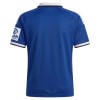 Original Fußballtrikot Hamburger SV Auswärtstrikot 2026-27 Für Herren