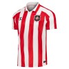 Original Fußballtrikot Sunderland Heimtrikot 2026-27 Für Herren