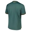 Original Fußballtrikot Everton Ausweichtrikot 2026-27 Für Herren