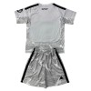 Original Trikotsatz Real Madrid Torwart 2026-27 Graue Für Kinder