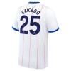Original Fußballtrikot Chelsea Caicedo 25 Ausweichtrikot 2026-27 Für Herren