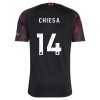 Original Fußballtrikot Liverpool Chiesa 14 Ausweichtrikot 2026-27 Für Herren Original Fußballtrikot Liverpool Chiesa 14 Ausweichtrikot 2026-27 Für Herren